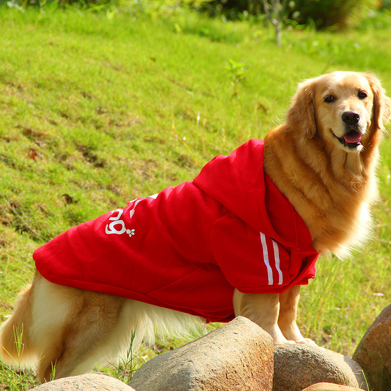 Colorful Clothes For Pet