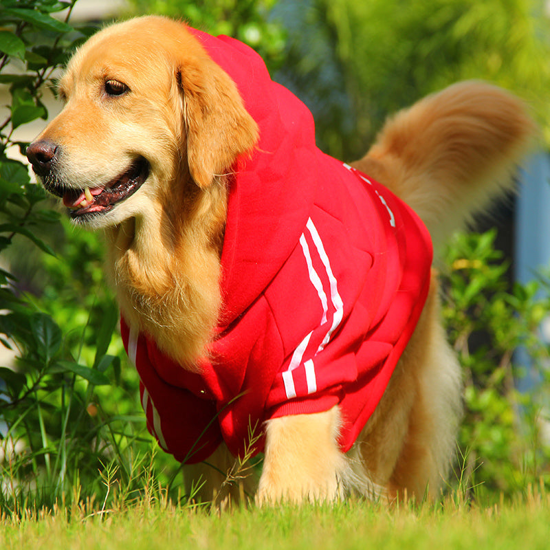 Colorful Clothes For Pet